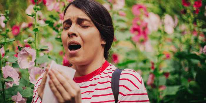 Breathe Easy: 6 Natural Allergy Relief  and Immune Boosting Tips for Spring - Vitauthority