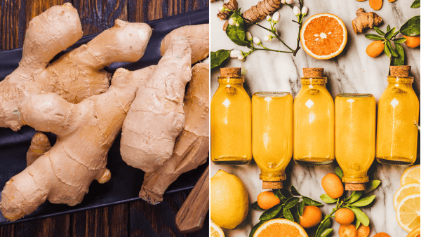 5 Morning Gut Health Shots for a Balanced Digestive System – Vitauthority