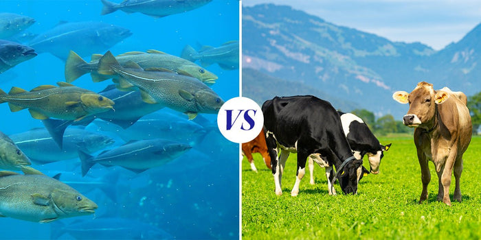 Marine vs. Bovine Collagen: Which One is Best for Your Skin and Wellness? - Vitauthority