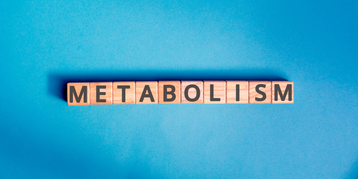 scrabble block letters spelling out metabolism on a blue background