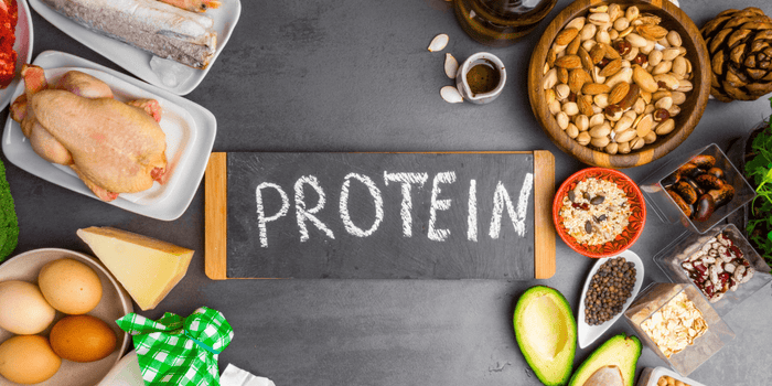 Protein Overload: How It Impacts Your Wellness and Weight Loss Goals - Vitauthority