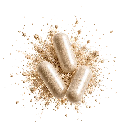 Capsules