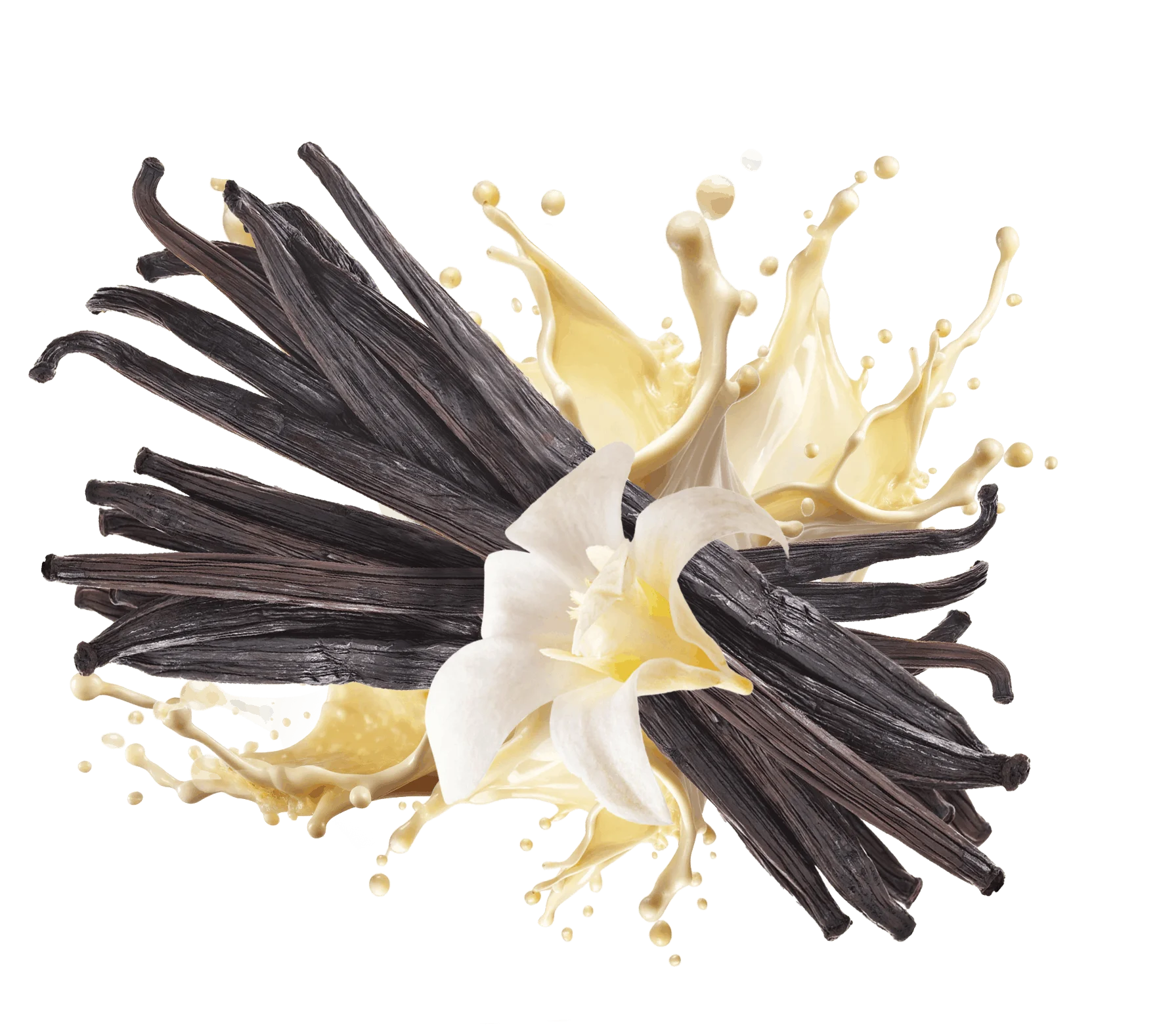 Vanilla