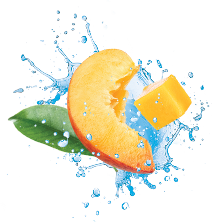 Peach Mango