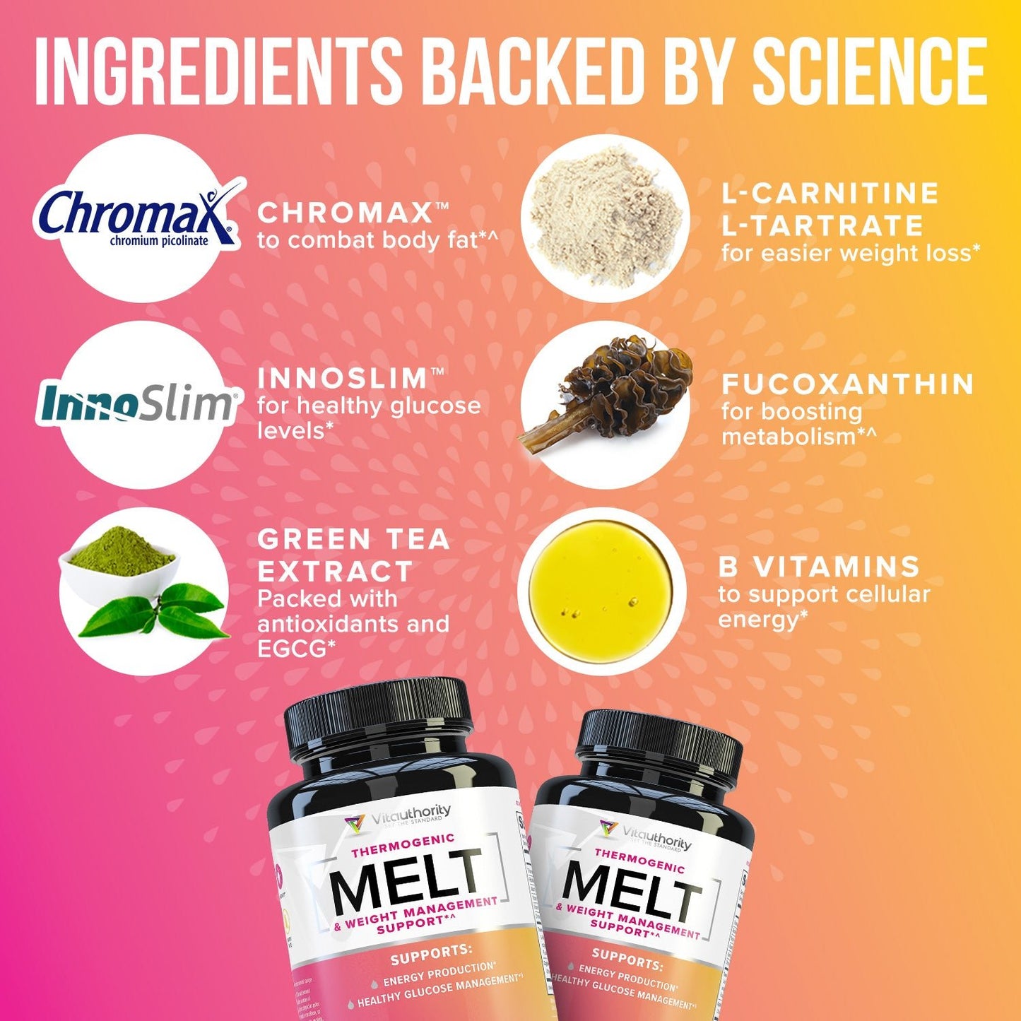 Melt Thermogenic Weight Management Support Melt Thermogenic Weight Management Support